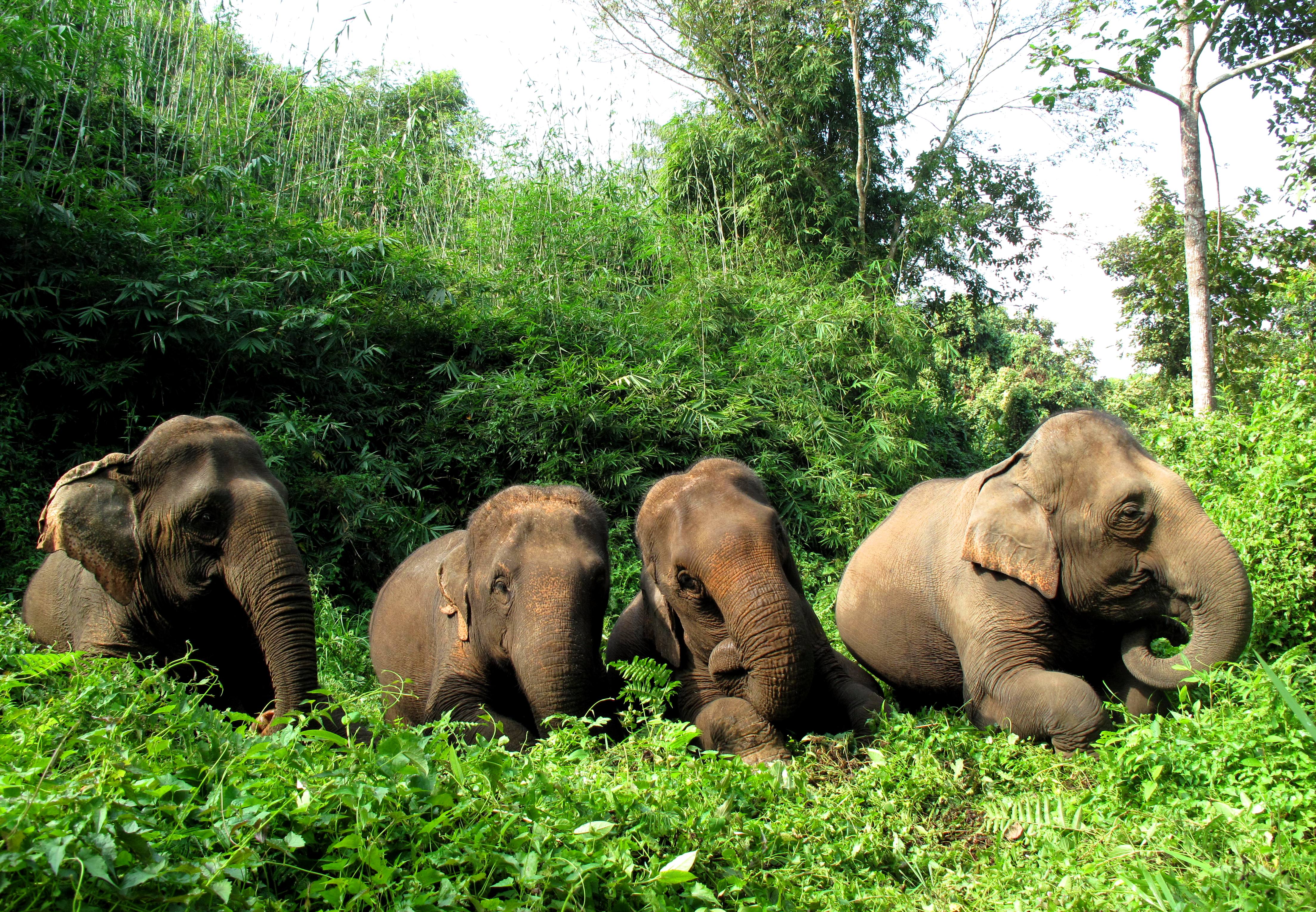 The Ultimate Celebration Private Jet in 22Days Around the World